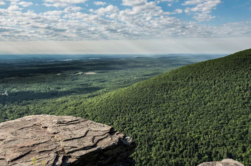 Photo 49 - AutoCamp Catskills