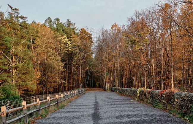 AutoCamp Catskills - Foto 48