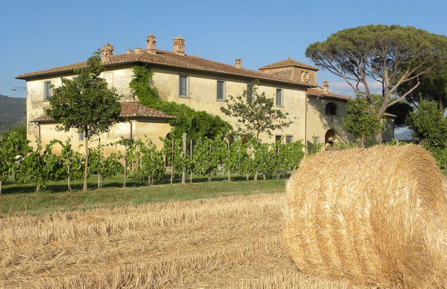 Cortona Resort - Le Terre Dei Cavalieri - Foto 74