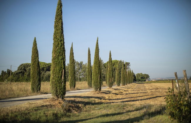 Cortona Resort - Le Terre Dei Cavalieri - Foto 72
