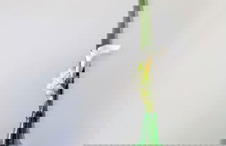 Foto 49 - Os Lambráns