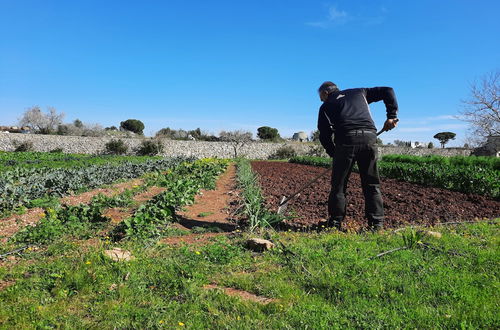 Photo 13 - Masseria San Cosimo