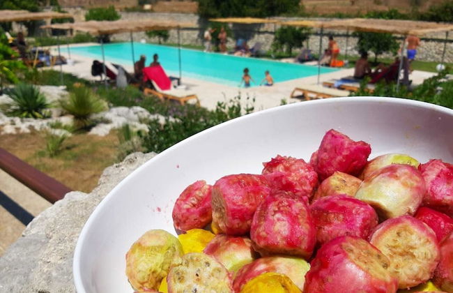 Masseria San Cosimo - Foto 15