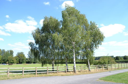 Foto 65 - The Chiltern Lodges at Upper Farm Henton