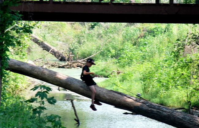 North Texas Jellystone Park - Foto 80