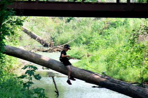 Photo 80 - North Texas Jellystone Park