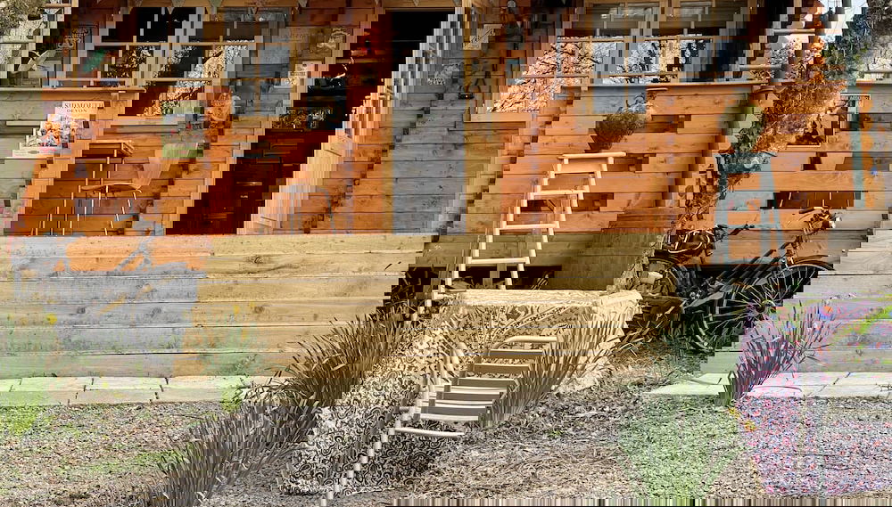 Primary image