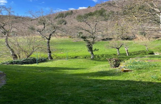 Holiday Home in Pelago - Foto 33