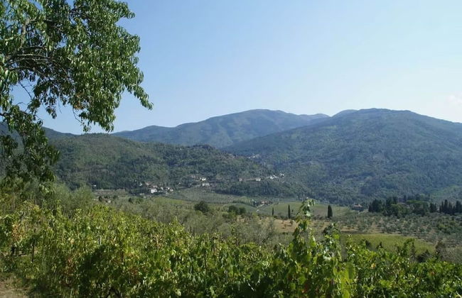 Holiday Home in Pelago - Foto 26