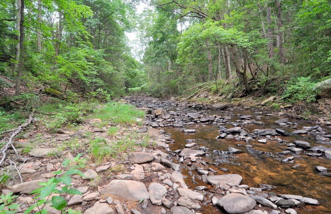 Rosies Creekside Retreat - 3 BR Escape! - Foto 29