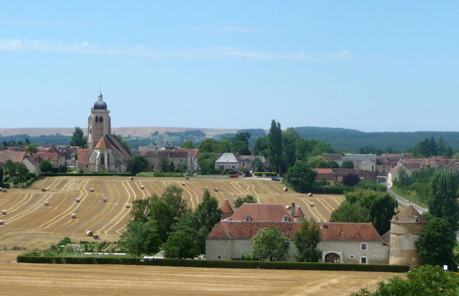 Château de Ribourdin - Foto 37