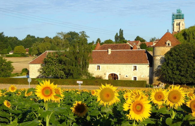 Château de Ribourdin - Foto 47