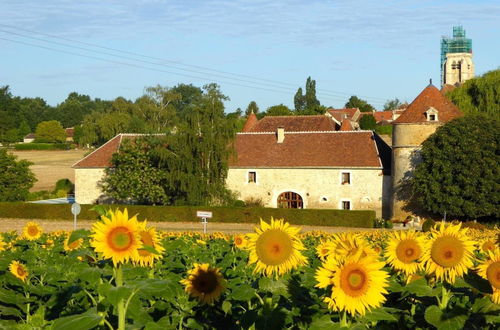 Photo 45 - Château de Ribourdin