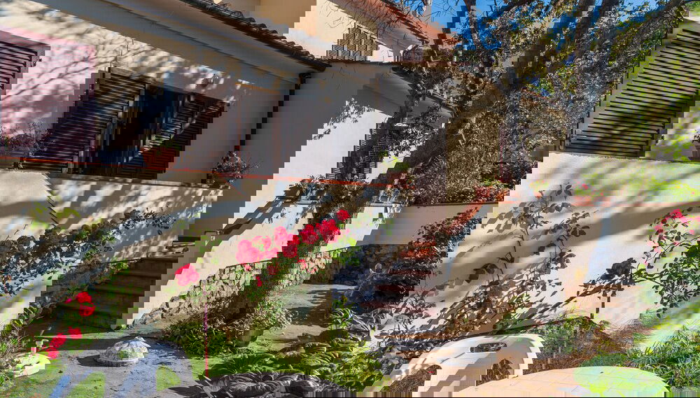 Imagem principal