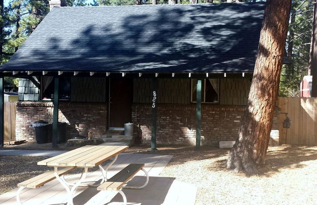 825 Julie Lane - Photo 12