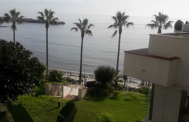Marbella Del Mar - Photo 33