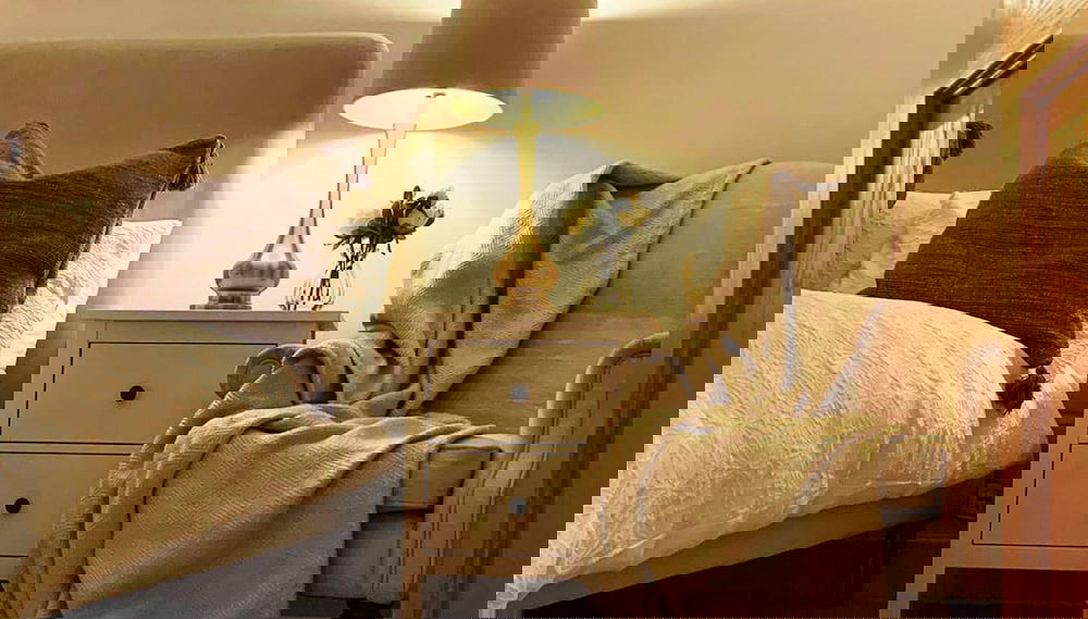 Imagem principal