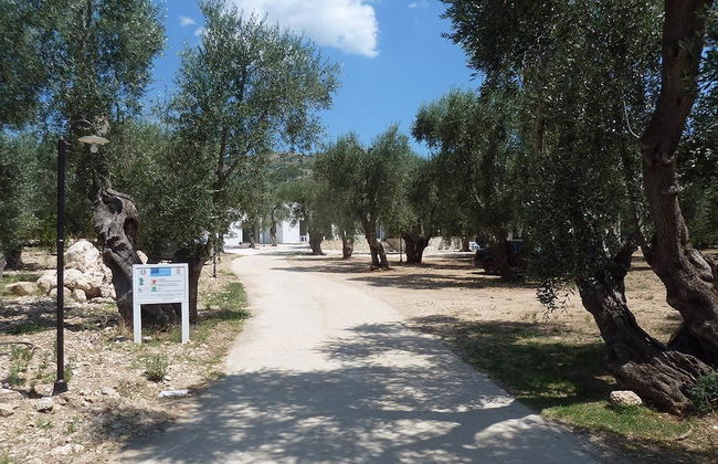 Tenuta Santa Maria - Photo 74