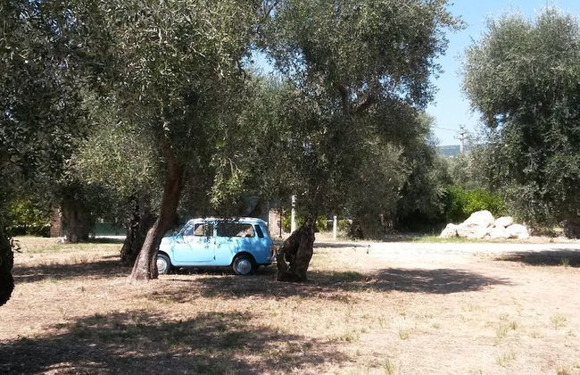Tenuta Santa Maria - Photo 62