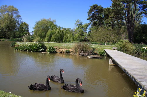 Foto 59 - Château Côte de Nacre