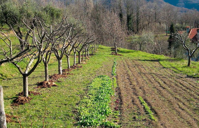 Fattoria Giunasco - Foto 43