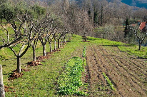 Photo 43 - Fattoria Giunasco