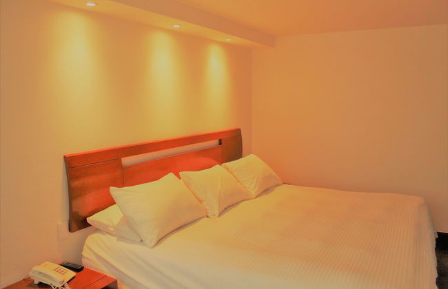 Condesa Suites - Foto 13