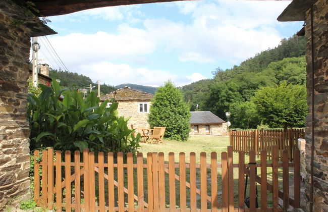 Tareira - Foto 23