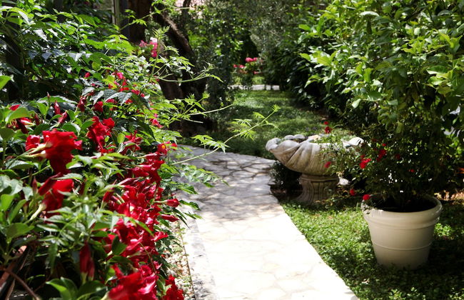Villa Sun - Foto 46