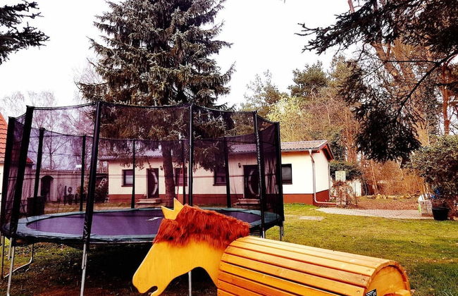 Naturhof Usedom - Foto 43
