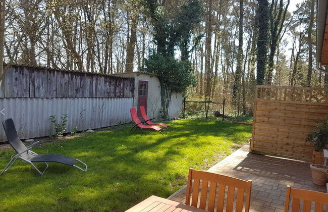 Naturhof Usedom - Foto 53