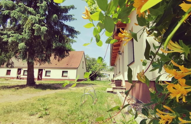 Naturhof Usedom - Foto 47