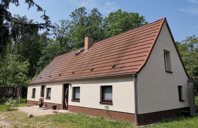 Naturhof Usedom - Foto 55
