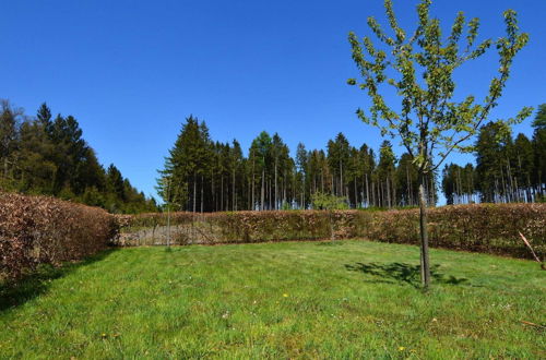 Photo 19 - Absolute Detached Holiday House at the Edge of the Forest