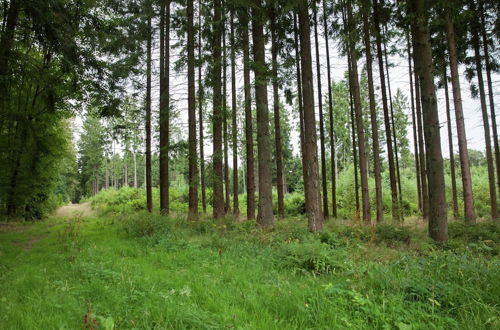 Photo 25 - Absolute Detached Holiday House at the Edge of the Forest