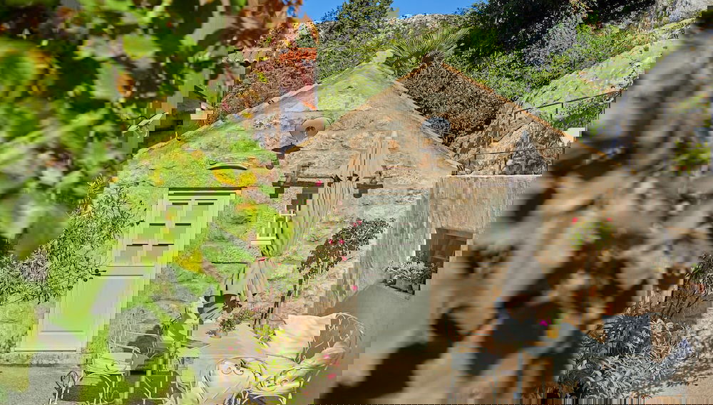Imagem principal