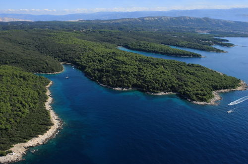 Photo 44 - Inviting 3-bed House on the Island of Rab, Croatia