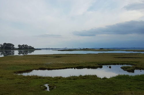 Photo 28 - Ferienwohnung Sommerbrise auf der Insel Poel