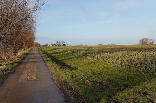 Photo 29 - Apartment on the Island of Poel