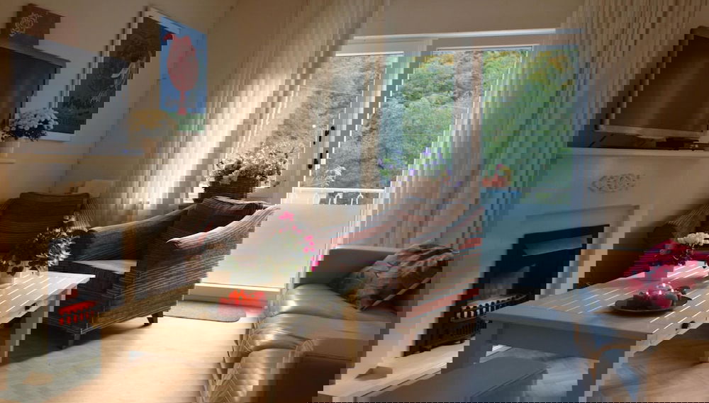Imagem principal