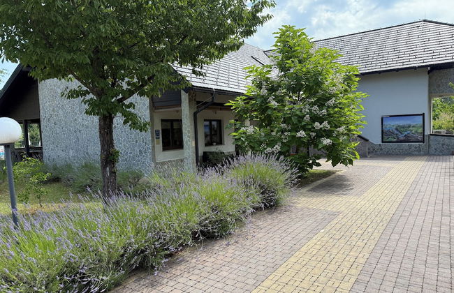 Villa Stone - Foto 1