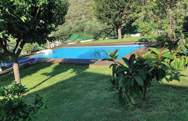 Almond Trees Villas - Foto 33
