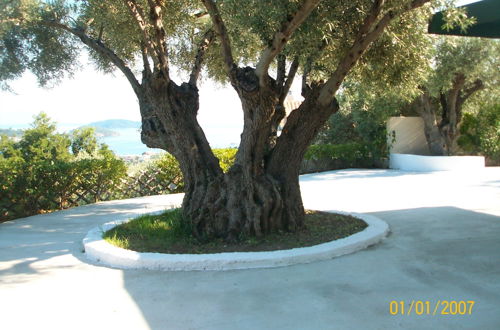 Photo 11 - Villa L&M Skiathos