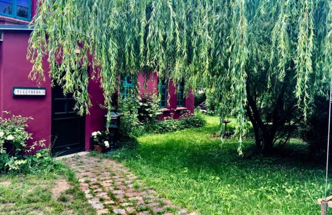 Wohnung in Neuburg Nahe Ostseestrand - Foto 26