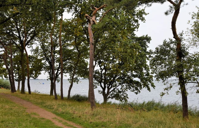 Holiday Home in Am Salzhaff - Foto 14