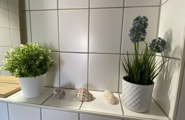 Ferienwohnung am Jacobsweg - Foto 14