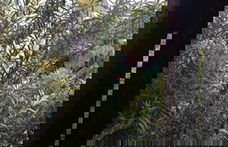 Photo 7 - Residence Manel Cabo 2