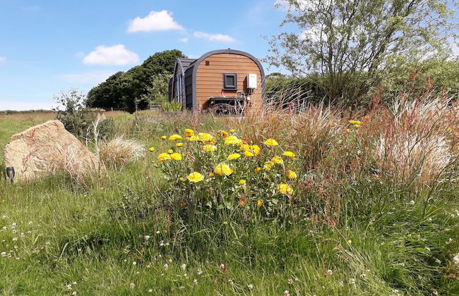 Hornbeam Eco Cabin - Sleeps 2 - Valley View - Foto 16