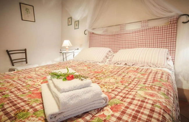 Verdidea - Podere Contignano - Foto 14