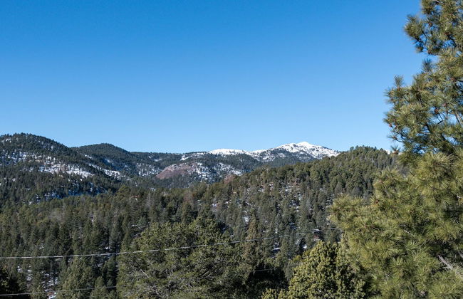 Breakaway Cabin - Foto 15